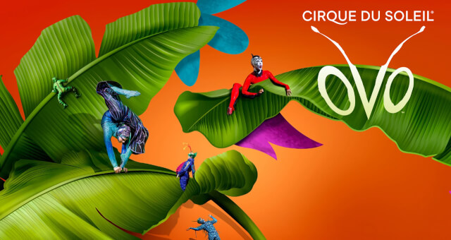 Alumni Perks Savings Event at Cirque Du Soleil OVO