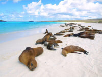 Ecuador and Galapagos