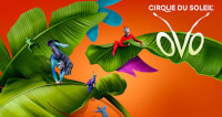 Cirque du Soleil OVO